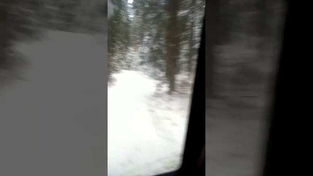 Sherp Пирожок Вездеход!Ура на рыбалку через лес! смотреть онлайн