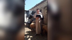 Подборка приколов  НАВОДИМ СУЕТУ
