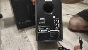 Краткий обзор и распаковка колонок Оклик  ОК-600
