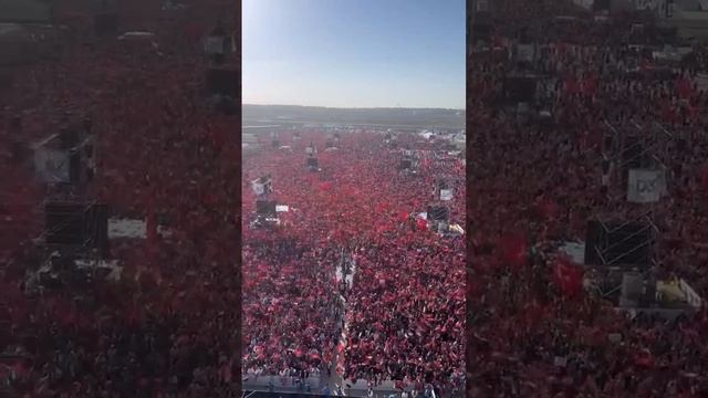 Митинг в Турции в поддержку Палестины