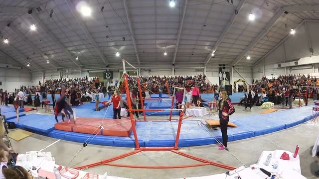 Тренер не растерялся смотреть онлайн