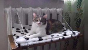 Самый экономичный электро обогреватель. Обогреватель с кпд 400%