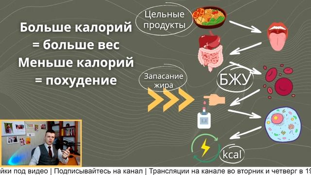 Почему у теории калорийности так много слабых мест? #похудение #похудеть #какпохудеть смотреть онлайн
