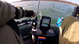 Поиск судака эхолотом #рыбалка #спиннинг #шымкент