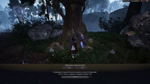 Black Desert лес природная защитная башня