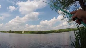 Как поймать ведро плотвы на одну удочку. Рыбалка на поплавок.