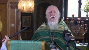 Есть ли у ребёнка право на жизнь? Протоиерей Дмитрий Смирнов
