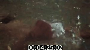 КОЛЫМА: Путешествие по трассе Колыма с Якутска до Магадана и обратно на Тойоте Кроун.