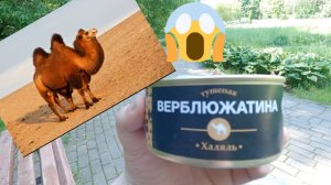 Тушёная Верблюжатина 🤔. Вкусно или нет?