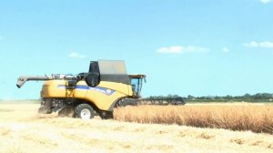 New Holland CX 8.90 mietitrebbia classica-New Holland CX 8.90 combine harvester spelled harvesting