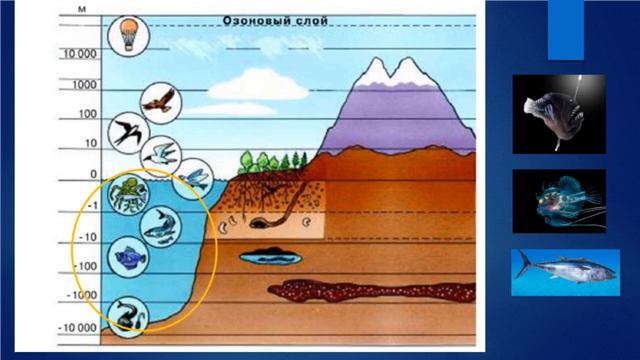 Границы биосферы смотреть онлайн