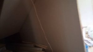 Обои в каркасном доме
