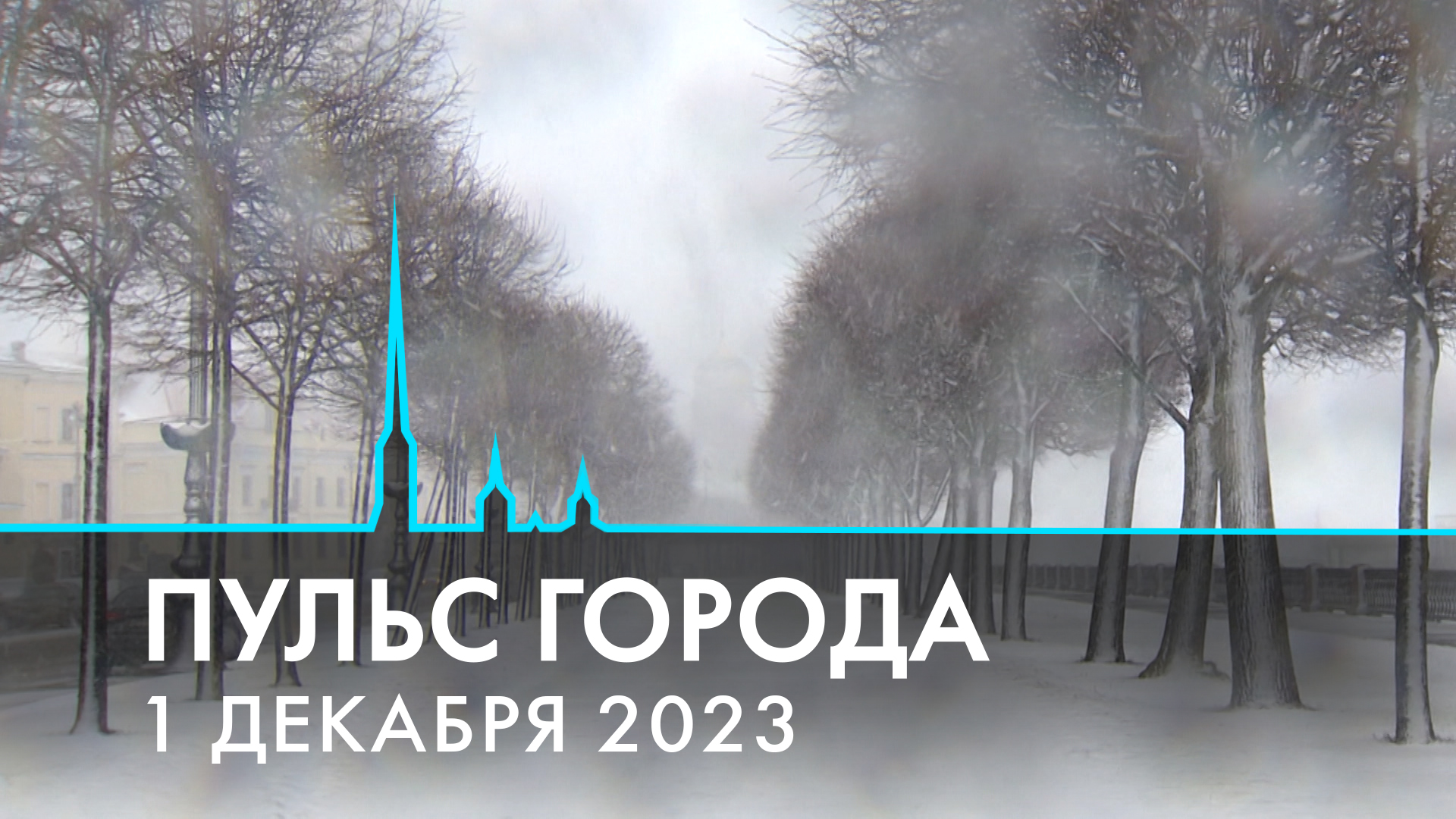 Пульс города. 1 декабря 2023