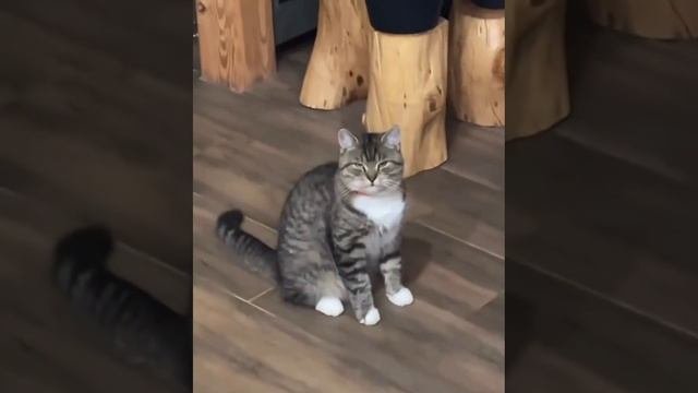 Максимальное осуждение