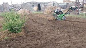 Пашем агарод под картошку с помошу культиватором пос. Агадырь