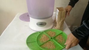 Проращивание пшеницы, инструкция. Как прорастить пшеницу в проращивателе ДоброСад. Подготовка семян