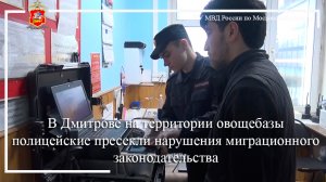 В Дмитрове на территории овощебазы полицейские пресекли нарушения миграционного законодательства