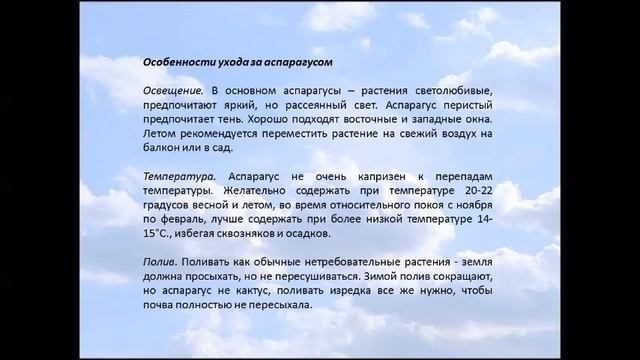 АСПАРАГУС   ВИДЫ, УХОД И РАЗВЕДЕНИЕ