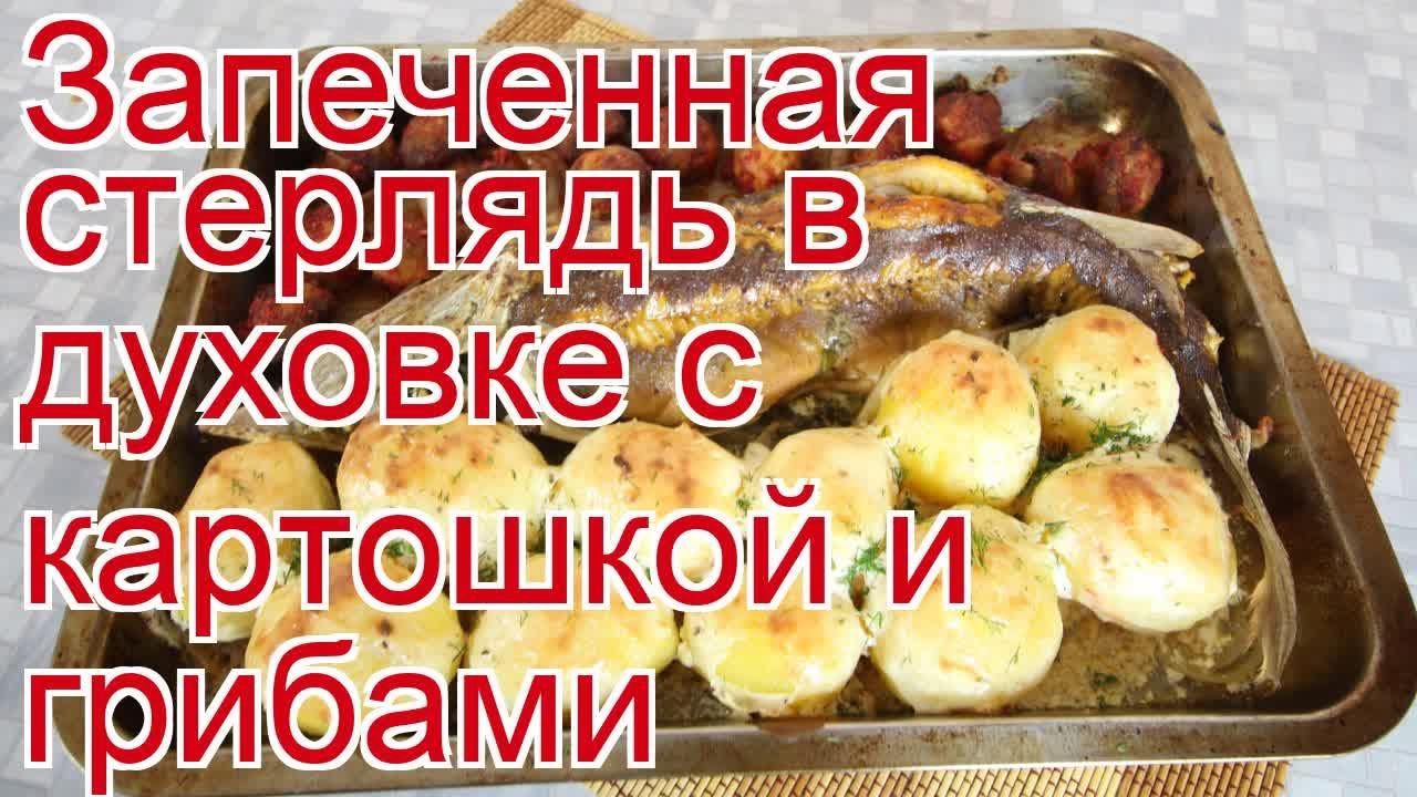 Как приготовить стерлядь пошаговый рецепт - Запеченная стерлядь в духовке с картошкой и грибами