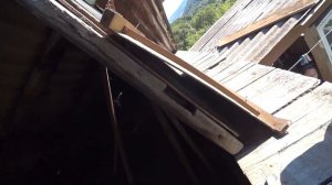 НАШЁЛ И УНИЧТОЖИЛ ОГРОМНОЕ ГНЕЗДО ЧЁРНЫХ ШЕРШНЕЙ УБИЙЦ НА ДАЧЕ ! ДИХЛОФОС ПРОТИВ ШЕРШНЯ И ОСЫ !
