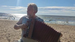 Белые розы | на гармошке | гармонист | виртуоз