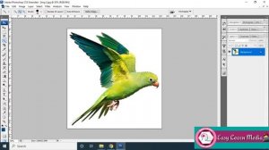 Photoshop Quick Selection & Magic Wand Tool