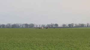 за двумя зайцами)Охота с борзыми ,охота с грейхаундом.