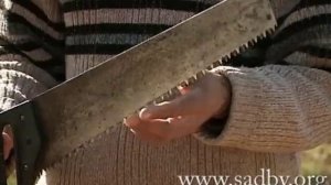 Садовые инструменты. Урок 1. Хороший садовый инструмент Обрезка плодовых деревьев. Видеокурс. ©