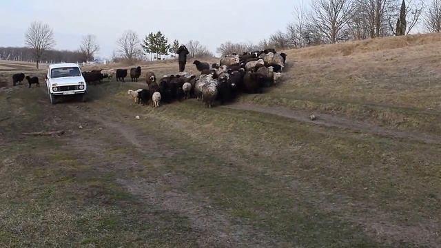 Платный Пруд в село Рогатово