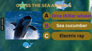 GUESS THE SEA ANIMAL *IMPOSSIBLE* (NEW GAME)