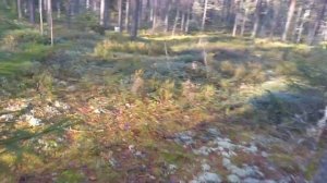 Пуля Булава Шок закрытая под звезду .Сунар 1.7 г 43 м