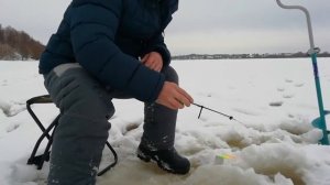 ЗИМНЯЯ РЫБАЛКА на реке Волге . 2022 ! Рыбалка в феврале !