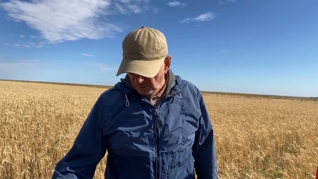 Бросить No-till после 15 лет работы на нем? смотреть онлайн