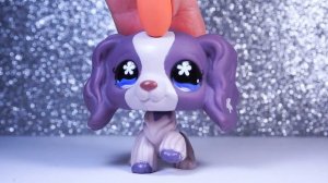 LPS: МОЯ КОЛЛЕКЦИЯ СПАНИЭЛЕЙ