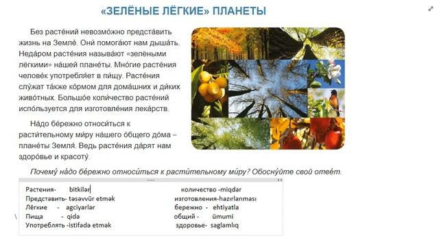 7 класс.Урок 37. Зеленые легкие планеты смотреть онлайн