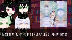 Reaction twisted wonderland hostel Diasomnia on Fem!Y/N  as Sucrose