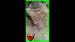 ОБРАБОТКА ЗЕМЛИ ДЛЯ ПОСАДКИ ТОМАТОВ