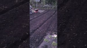 вспашка огорода мотоблоком