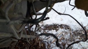 Mazda 6 (GG)2003 Вакуумный усилитель тормозов, главный тормозной цилиндр, главный цилиндр сцепления