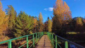 Сиверский, Старосиверская:  Дорога к Дружноселью, Оредеж, октябрь...