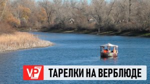 НОВЫЙ ВОДНЫЙ АТТРАКЦИОН ПОЯВИЛСЯ НА ЕРИКЕ ВЕРБЛЮД В ВОЛГОГРАДСКОЙ ОБЛАСТИ
