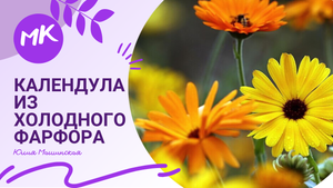 Мк "Календула"из холодного фарфора