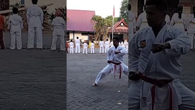 Tekki Shodan Kata Karate #karate #karatedo #karatekid