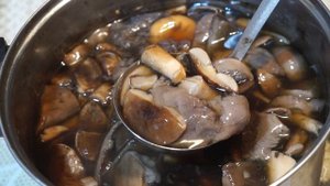 Как сохранить грибы на зиму. Удобный способ хранения грибов на зиму.