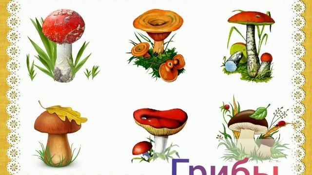 Выбери обобщающие понятия для всех приведенных. Выбери обобщающие понятия для всех приведенных