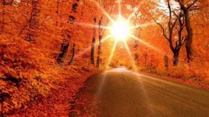 Вот пришла пора осенняя.Неизвестный исполнитель.mp4