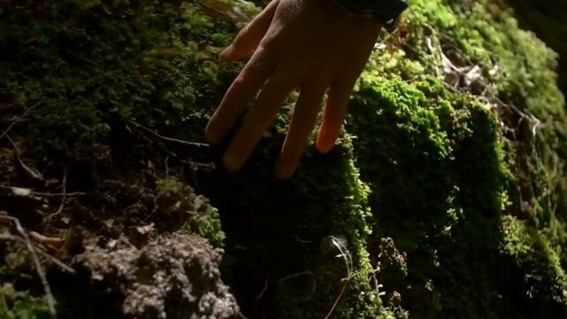 Буктрейлер «Джеральд Бром_ «Похититель детей»