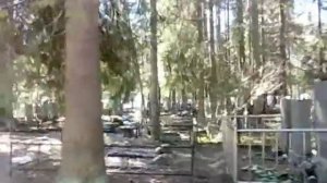 Памяти Курехина