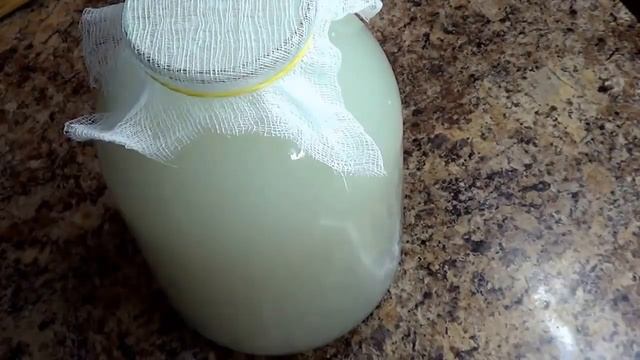 Чистотел и квас Болотова. Пошаговый рецепт. Польза и вред. смотреть онлайн