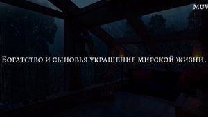 Абдурахман Наджи Красивое Чтение Корана